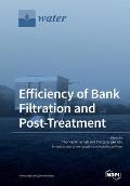 Efficiency of Bank Filtration and Post-Treatment
