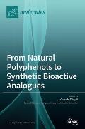 From Natural Polyphenols to Synthetic Bioactive Analogues
