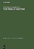 The Public Sector: Challenge for Coordination and Learning