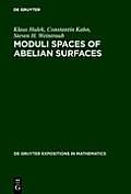 Moduli Spaces of Abelian Surfaces: Compactification, Degenerations and Theta Functions