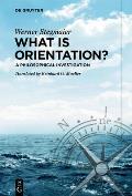 What Is Orientation?: A Philosophical Investigation
