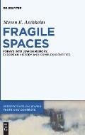 Fragile Spaces: Forays Into Jewish Memory, European History and Complex Identities
