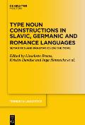 Type Noun Constructions in Slavic, Germanic and Romance Languages: Semantics and Pragmatics on the Move