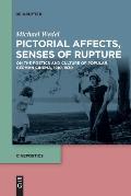 Pictorial Affects, Senses of Rupture: On the Poetics and Culture of Popular German Cinema, 1910-1930