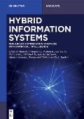 Hybrid Information Systems: Non-Linear Optimization Strategie with Artificial Intelligence