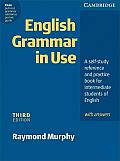 English Grammar In Use 3rd Edition Klett Edition