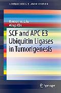 Scf and Apc E3 Ubiquitin Ligases in Tumorigenesis