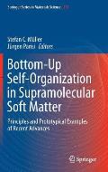 Bottom-Up Self-Organization in Supramolecular Soft Matter: Principles and Prototypical Examples of Recent Advances
