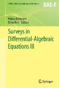 Surveys in Differential-Algebraic Equations III