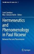 Hermeneutics and Phenomenology in Paul Ricoeur: Between Text and Phenomenon
