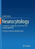 Neurocytology: Fine Structure of Neurons, Nerve Processes, and Neuroglial Cells