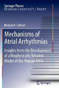 Mechanisms of Atrial Arrhythmias: Insights from the Development of a Biophysically Detailed Model of the Human Atria