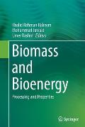 Biomass and Bioenergy: Processing and Properties