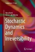 Stochastic Dynamics and Irreversibility