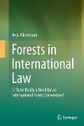 Forests in International Law: Is There Really a Need for an International Forest Convention?