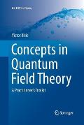 Concepts in Quantum Field Theory: A Practitioner's Toolkit
