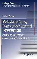 Metastable Glassy States Under External Perturbations: Monitoring the Effects of Compression and Shear-Strain