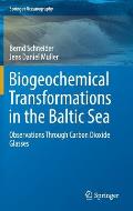 Biogeochemical Transformations in the Baltic Sea: Observations Through Carbon Dioxide Glasses