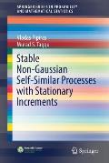 Stable Non Gaussian Self Similar Processes with Stationary Increments