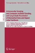 Intravascular Imaging and Computer Assisted Stenting, and Large-Scale Annotation of Biomedical Data and Expert Label Synthesis: 6th Joint Internationa