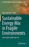 Sustainable Energy Mix in Fragile Environments: Frameworks and Perspectives
