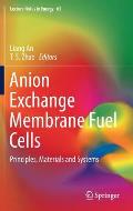 Anion Exchange Membrane Fuel Cells: Principles, Materials and Systems