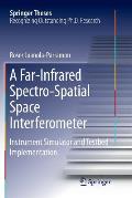 A Far-Infrared Spectro-Spatial Space Interferometer: Instrument Simulator and Testbed Implementation