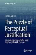 The Puzzle of Perceptual Justification: Conscious Experience, Higher-Order Beliefs, and Reliable Processes