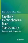 Capillary Electrophoresis-Mass Spectrometry: Therapeutic Protein Characterization