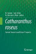 Catharanthus Roseus: Current Research and Future Prospects