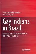 Gay Indians in Brazil: Untold Stories of the Colonization of Indigenous Sexualities