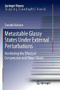 Metastable Glassy States Under External Perturbations: Monitoring the Effects of Compression and Shear-Strain