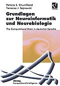 Grundlagen Zur Neuroinformatik Und Neurobiologie: The Computational Brain in Deutscher Sprache