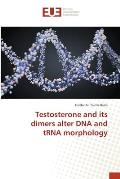 Testosterone and its dimers alter DNA and tRNA morphology