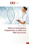 Effect of Antioxidant Polyphenols on DNA and RNA Structures