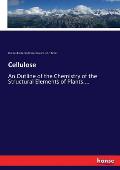 Cellulose: An Outline of the Chemistry of the Structural Elements of Plants....