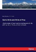 Game Birds and Birds of Prey: Life Histories of one hundred and seventy Birds of Prey, Game Birds and Water Fowls