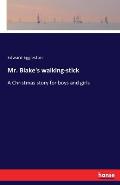 Mr. Blake's walking-stick: A Christmas story for boys and girls