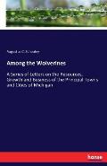 Among the Wolverines: A Series of Letters on the Resources, Growth and Business of the Principal Towns and Cities of Michigan