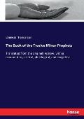 The Book of the Twelve Minor Prophets: Translated from the original Hebrew, with a commentary, critical, philological, and exegetical
