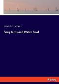 Song Birds and Water Fowl