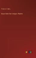 Haws from the Hedges: Poems