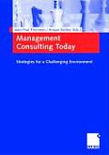 Management Consulting Today: Strategies for a Challenging Environment.