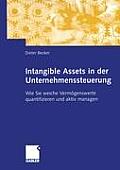 Intangible Assets in Der Unternehmenssteuerung: Wie Sie Weiche Verm?genswerte Quantifizieren Und Aktiv Managen