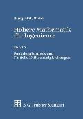 H?here Mathematik F?r Ingenieure: Band V Funktionalanalysis Und Partielle Differentialgleichungen