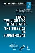 From Twilight to Highlight: The Physics of Supernovae: Proceedings of the Eso/Mpa/Mpe Workshop Held at Garching, Germany, 29-31 July 2002