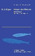 Riesen Des Meeres: Eine Biologie Der Wale Und Delphine