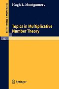 Topics in Multiplicative Number Theory