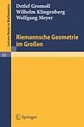 Riemannsche Geometrie Im Gro?en