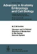 Glycogen and Its Related Enzymes of Metabolism in the Central Nervous System